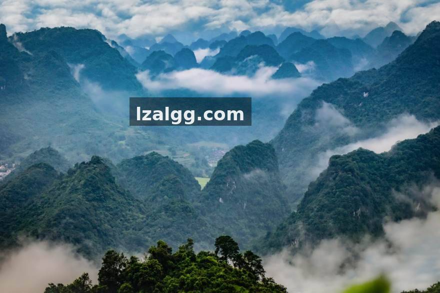 优游国际 · 真人百家乐点数与补牌数据拆解：从概率分布看参与区位选择